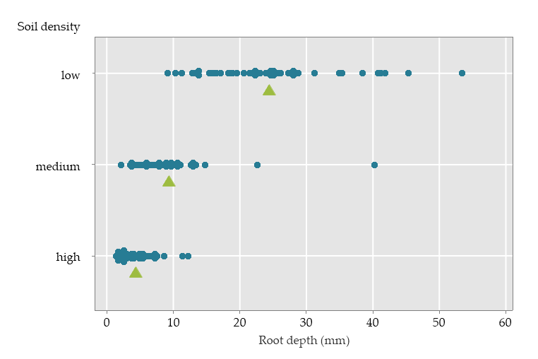 Root depth of seedlings grown in different soil densities