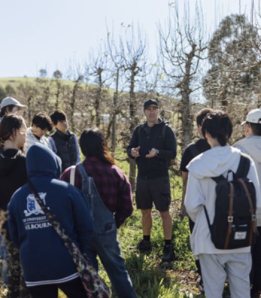 Students and lecturer standing in an orchard