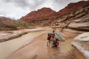 stuck in Quicksand