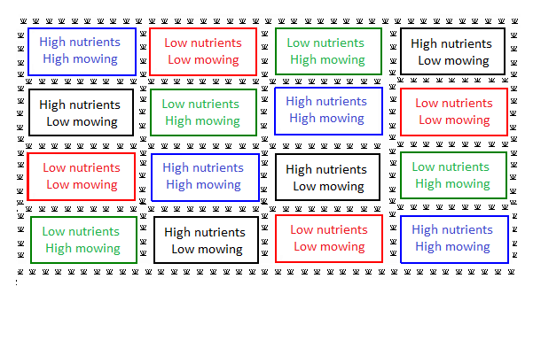 The latin square design for the Native grasslands study.