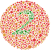 Example of the kind of image used in the Ishihara test.